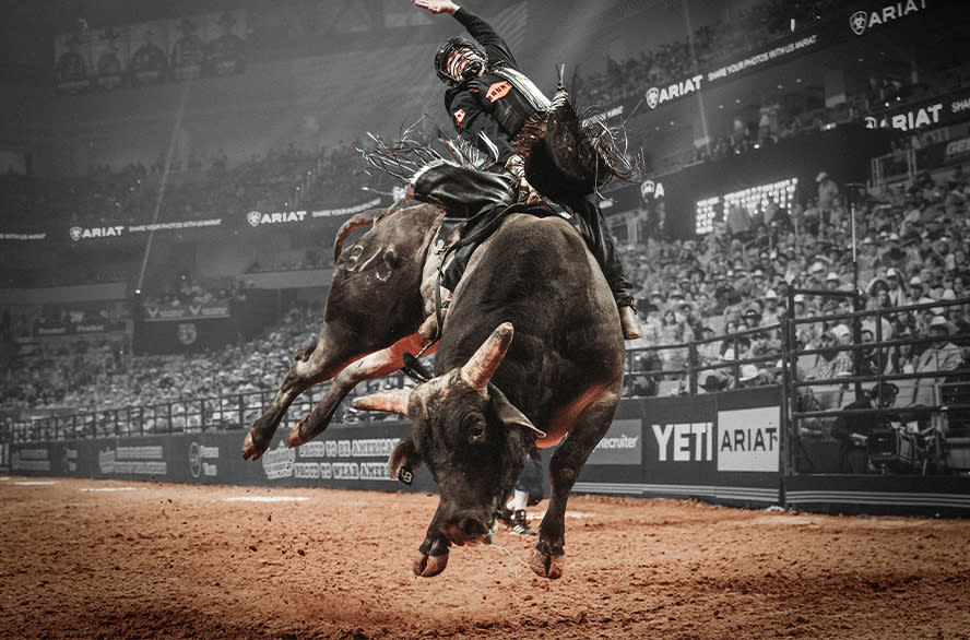 bull riding knoxville tn bull riding knoxville tn